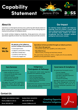 Capability Statement